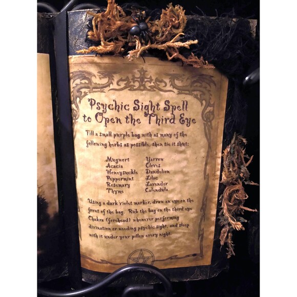 PSYCHIC SIGHT Spell To Open The Third Eye SpellBook Halloween Spooky Witch Decor - Picture 3 of 5